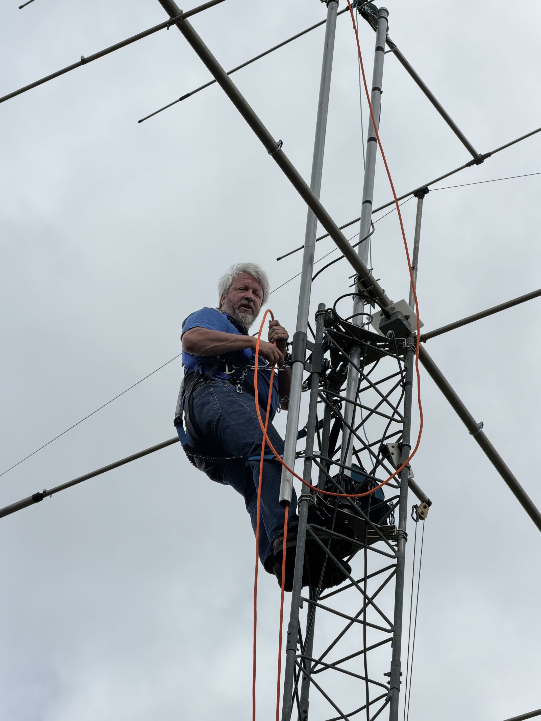 Gorilla on the tower